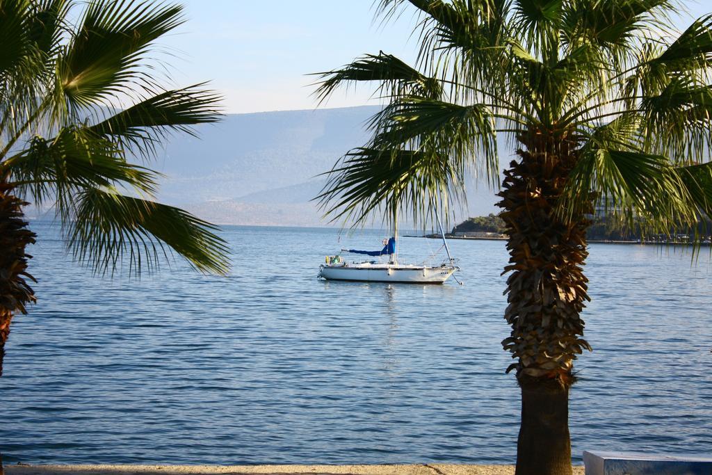 Bodrum Gulluk Marina Suites Oda fotoğraf